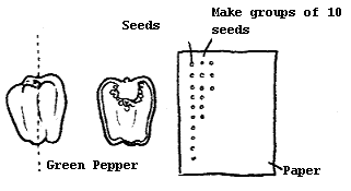 How to count seeds #2